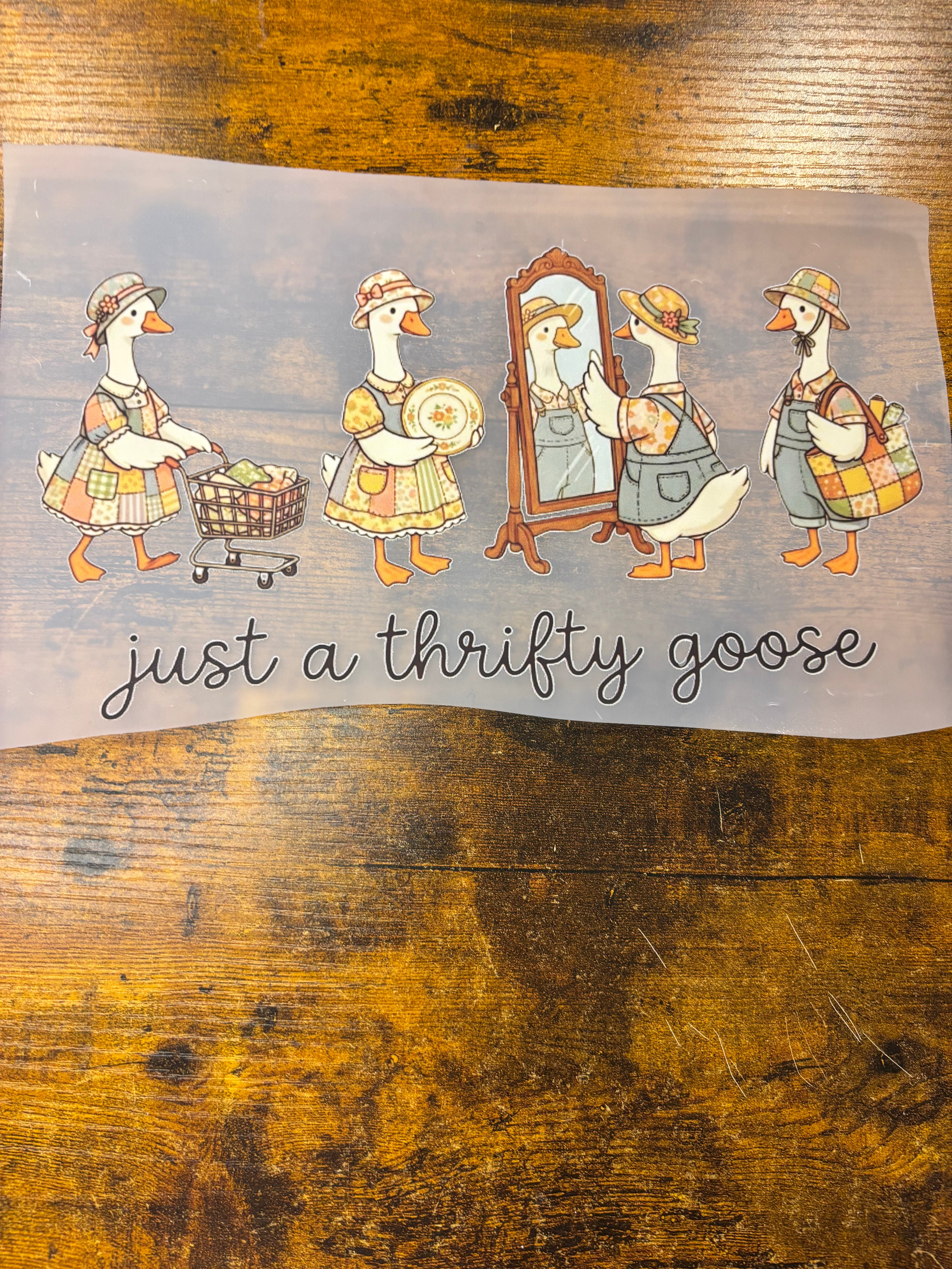 Thrifty goose