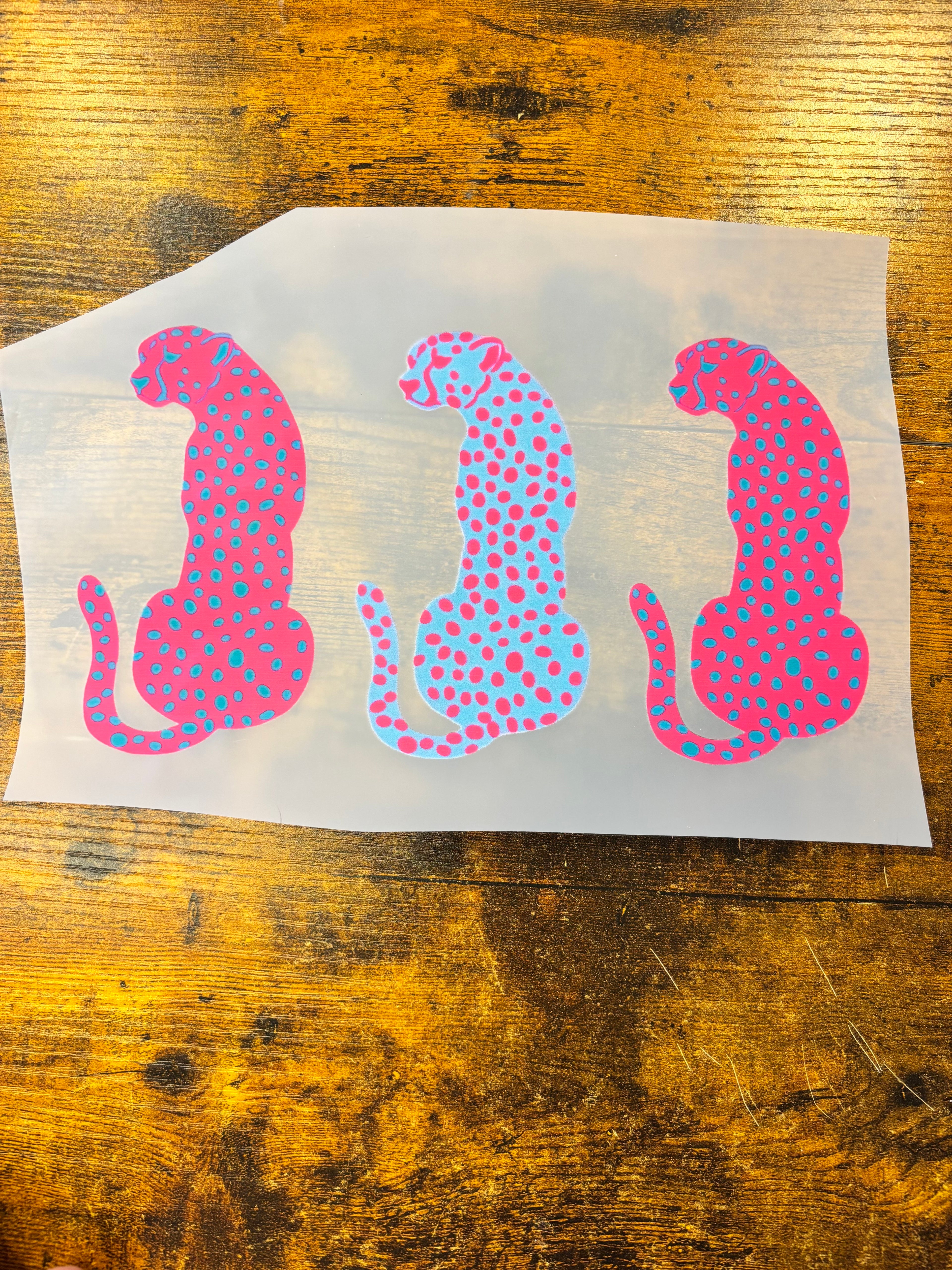 Cheetahs