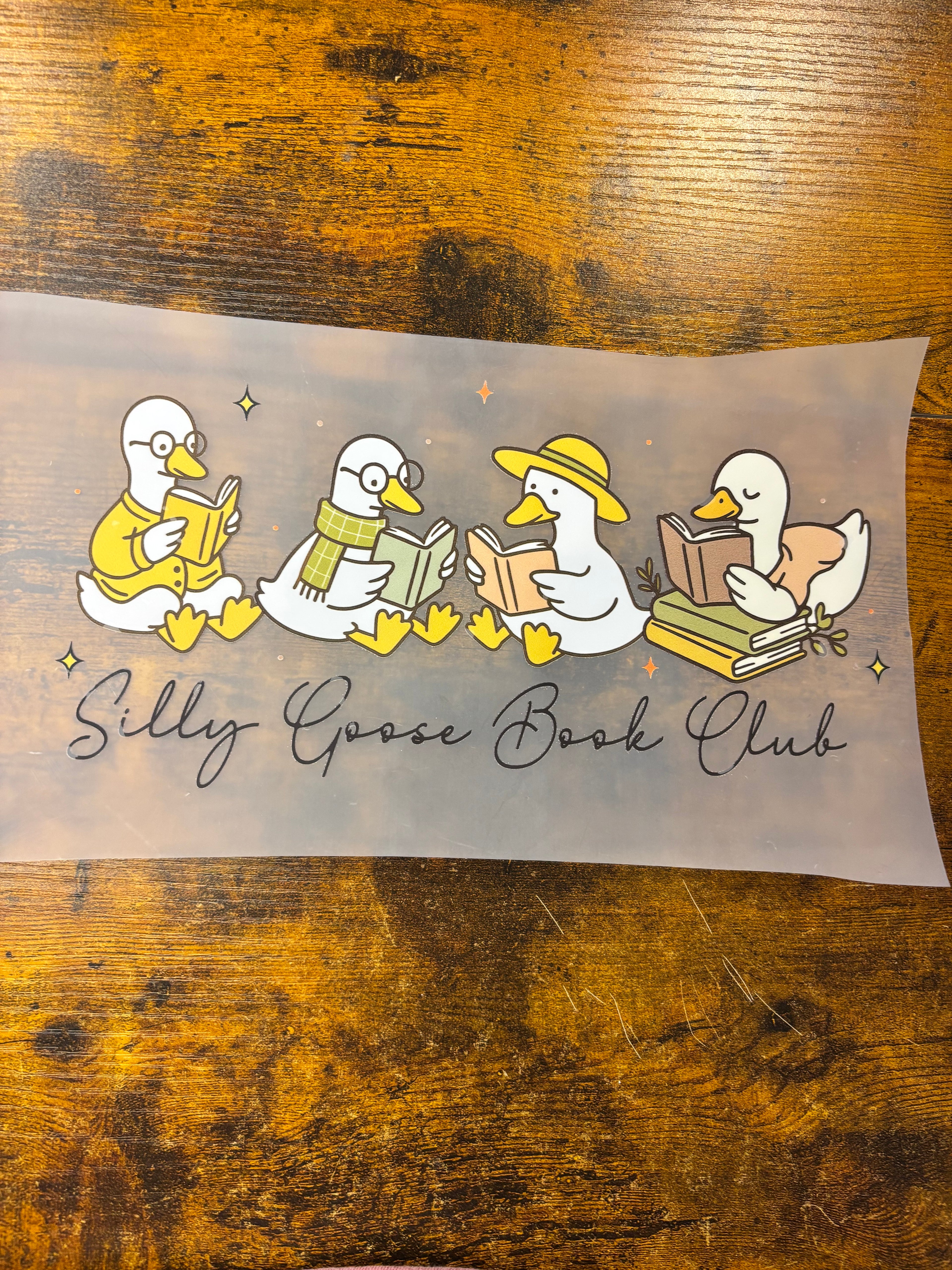 Silly goose book
