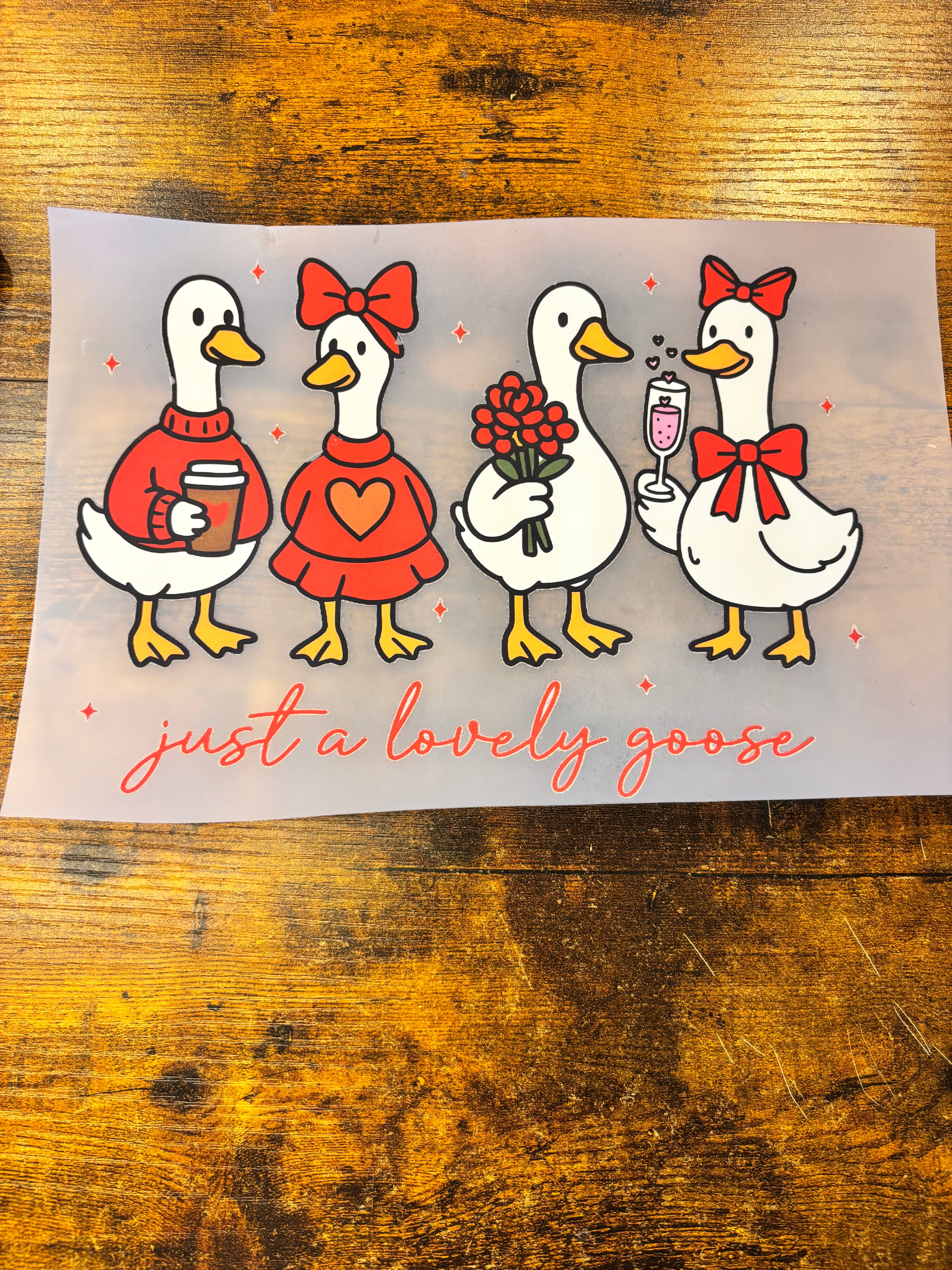 Lovely goose
